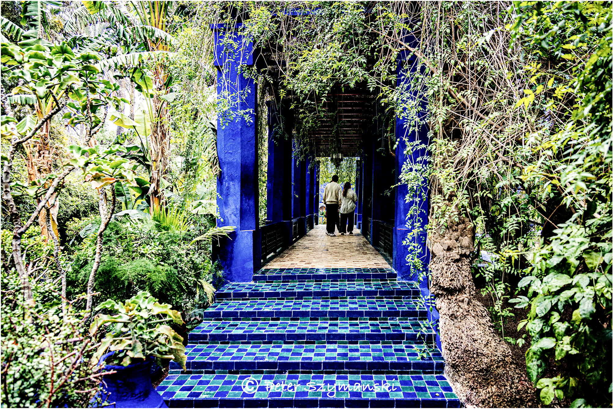 Jardin Majorelle Peter (Beppo) Szymanski