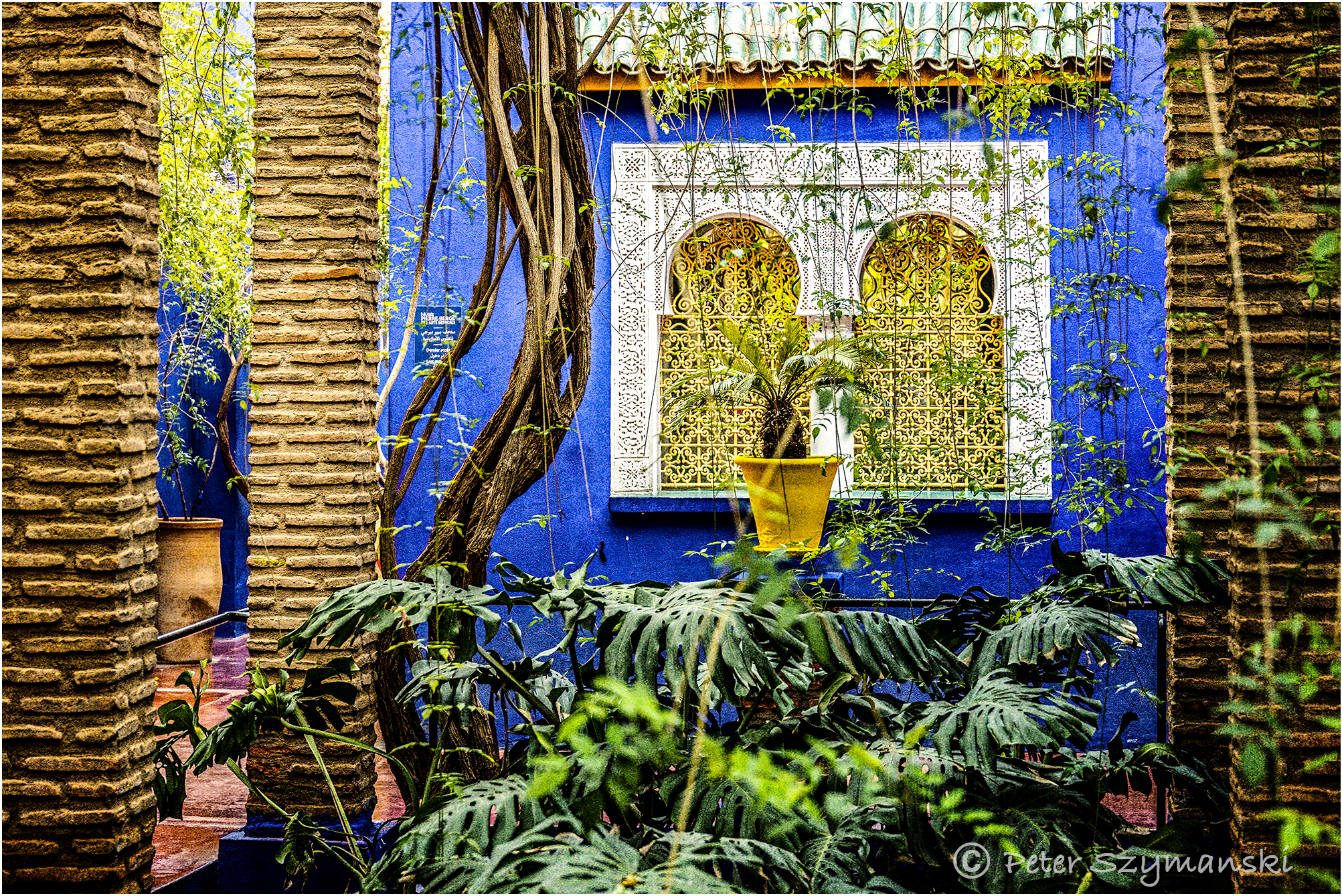 Jardin Majorelle Peter (Beppo) Szymanski