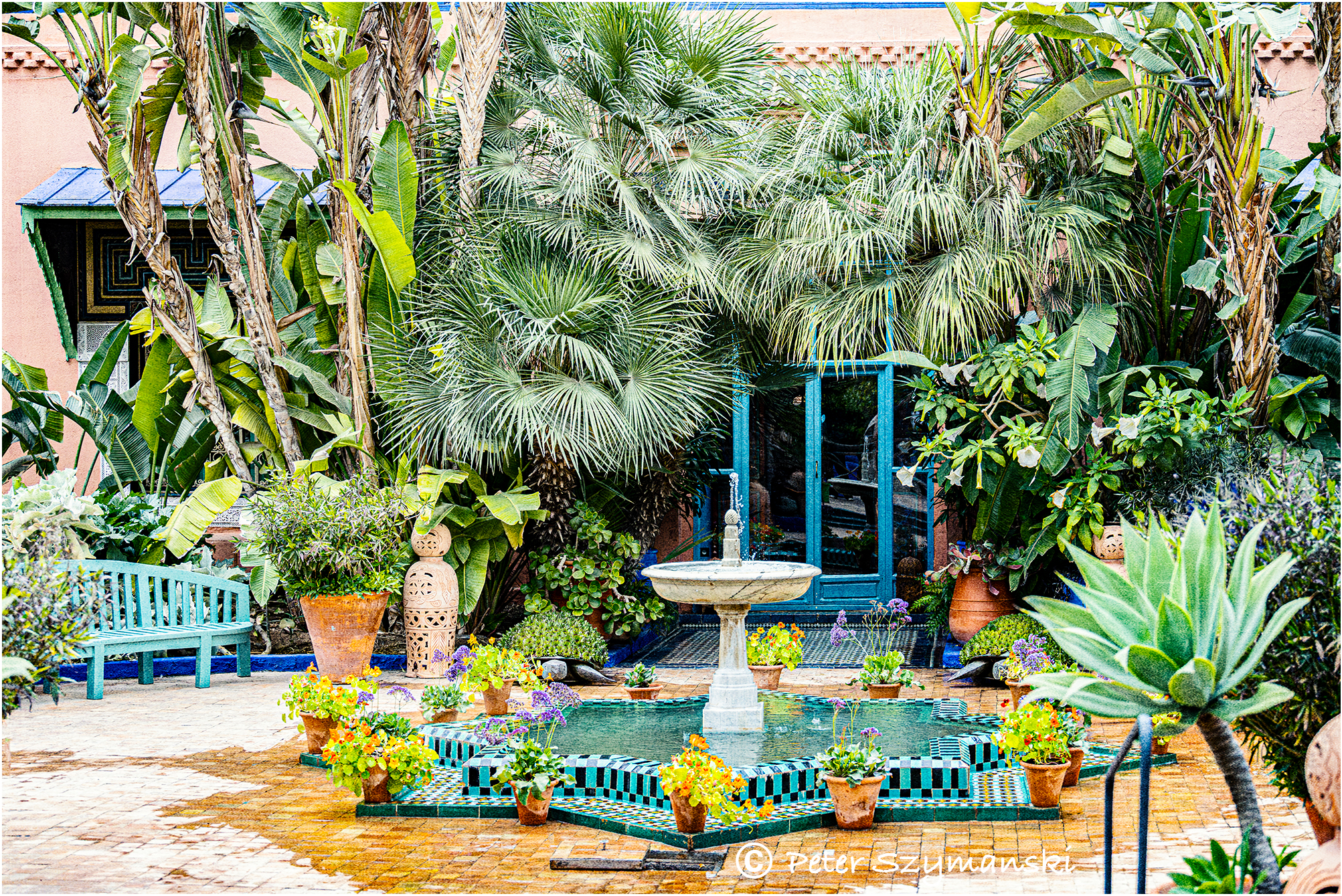 Jardin Majorelle Peter (Beppo) Szymanski