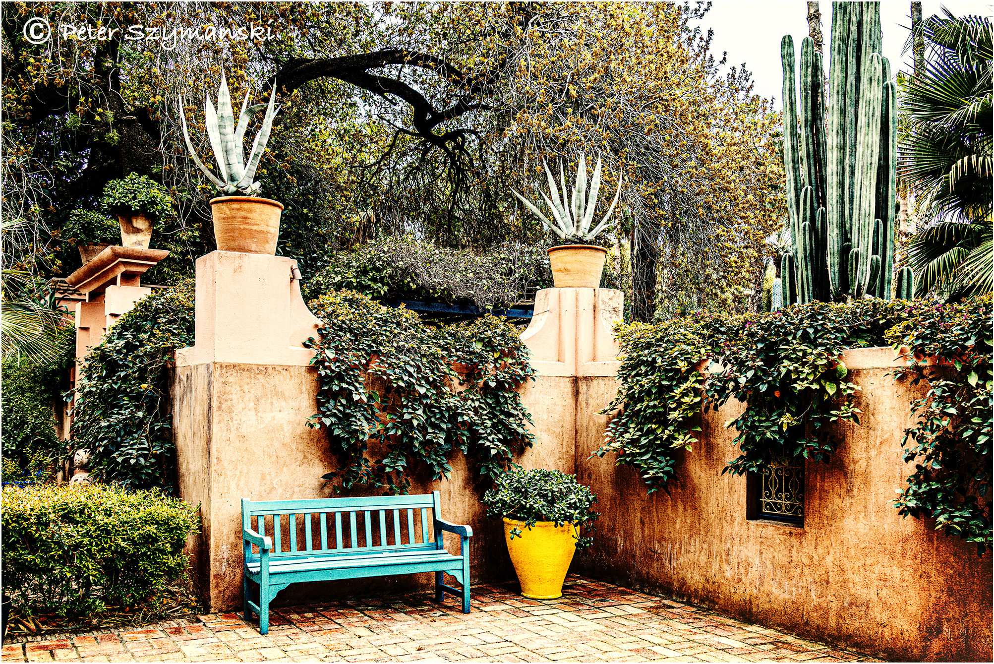 Jardin Majorelle Peter (Beppo) Szymanski