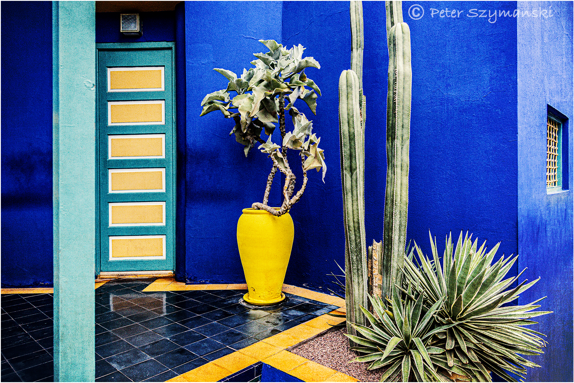 Jardin Majorelle Peter (Beppo) Szymanski