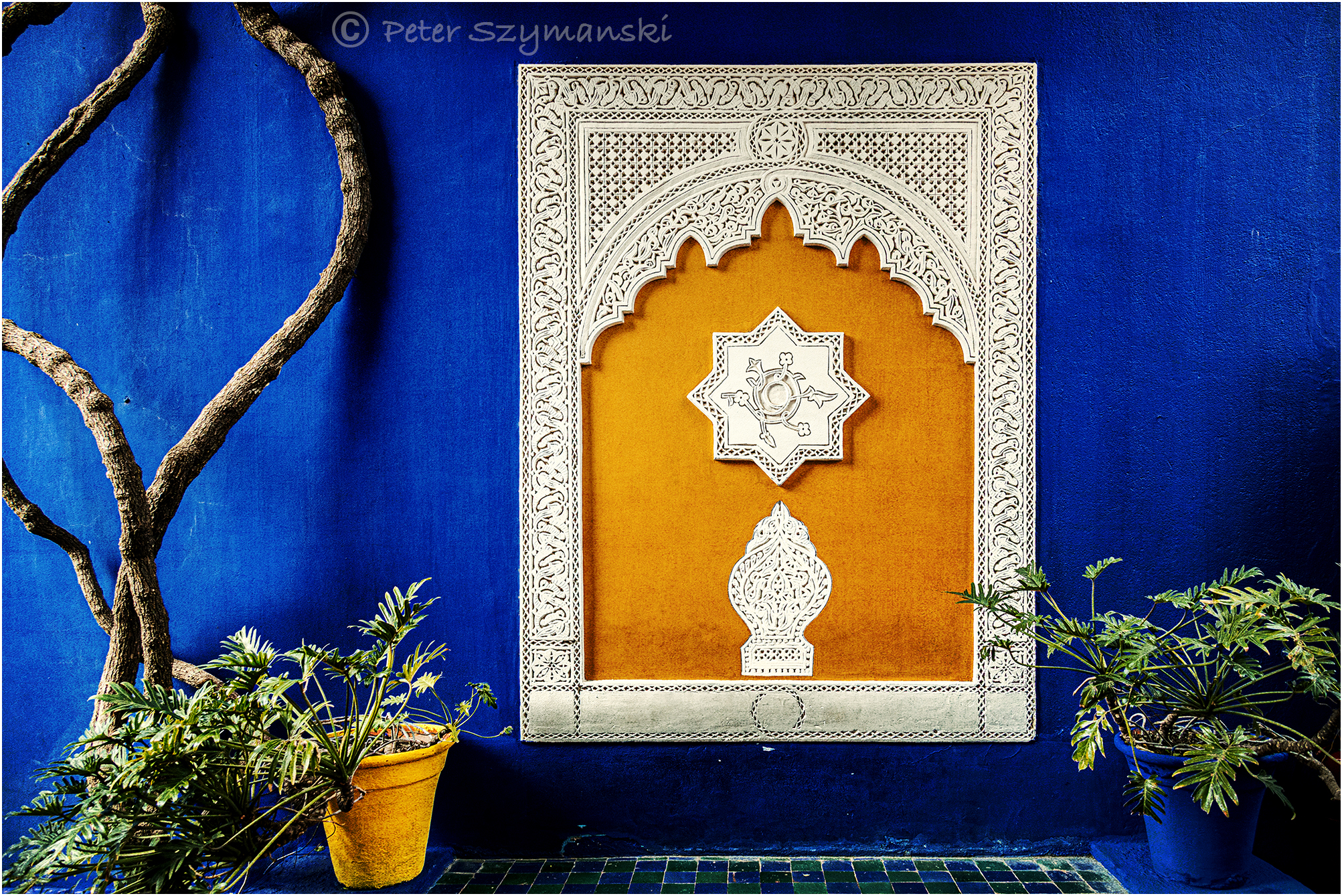 Jardin Majorelle Peter (Beppo) Szymanski