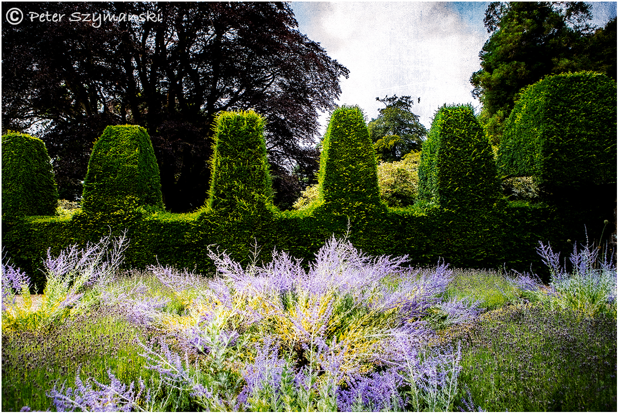 Englische Gärten English garden english landscapes Gartenkunst Peter Beppo Szymanski
