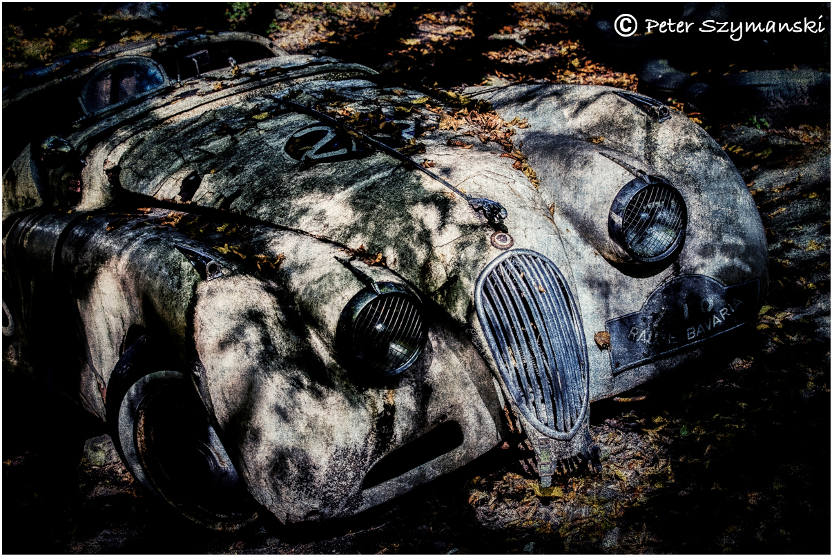 Jaguar Autofriedhof Peter Beppo Szymanski